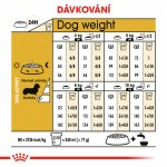 Royal Canin Dachshund Adult 1,5 kg – Hledejceny.cz