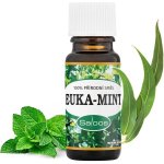 Saloos esenciální olej Euka-mint 10 ml – Zbozi.Blesk.cz