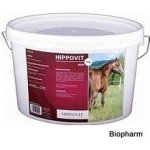 Hippovit UNIVIT MSM 0,3 kg – Hledejceny.cz