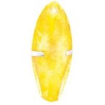 Gran Bonta Adult Dog hovězí 150 g – Hledejceny.cz