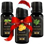 Aromaholik esenicální olej Vánoční sada Pomeranč, Skořice, Borovice 3 x 10 ml – Hledejceny.cz