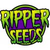 Semena konopí Ripper Seeds Old School semena neobsahují THC 5 ks