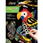 Škrabací obrázky 4 ks Ptáci – Zboží Dáma