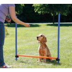 Trixie Agility překážka 3 tyče / 129/115 cm – Hledejceny.cz