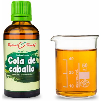 Bylinné kapky Pavlovy bylinné kapky Cola de caballo tinktura 50 ml – Hledejceny.cz