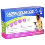 Capraverum Dog probiotikum-prebiotikum 30 tbl – Hledejceny.cz