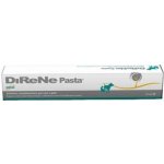 DRN Direne pasta pst 15 ml – Hledejceny.cz