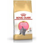Royal Canin FBN Kitten British Shorthair 2 kg – Hledejceny.cz