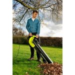 Ryobi RBV3000CESV – Zboží Dáma