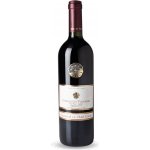 COMPAGNIA VIGNAIOLI Primitivo del Salento IGT 2021 14% 0,75 l (holá láhev) – Hledejceny.cz