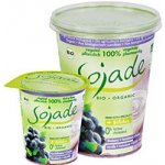 Sojade bifidus borůvka Bio 400 g – Zboží Dáma