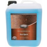 OWATROL RUST SPIRIT dekorativní aktivátor rzi 5L – Sleviste.cz