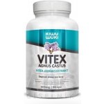 Vitex agnus castus Drmek obecný extrakt 2: 1 500 mg 90 kapslí – Hledejceny.cz