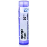 SPONGIA TOSTA POR 30CH GRA 4G – Hledejceny.cz