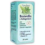 Favea Boswellia s chondroitinem a kolagenem 30 tablet – Hledejceny.cz