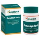 Doplněk stravy Himalaya Rumalaya Forte 60 tablet