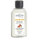 Maison Berger Paris Náplň do difuzéru Sladký grapefruit 200 ml – Zboží Dáma