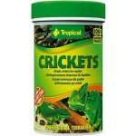Tropical Crickets 100 ml – Zboží Dáma