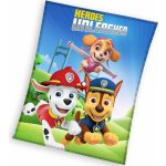 Carbotex Dětská mikroplyšová deka Tlapková Patrola Odvážní Hrdinové – Zboží Dáma