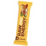 Bombus RAW energy 20x50 g – Zbozi.Blesk.cz