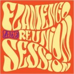 Flamengo Reunion Session - Live LP – Hledejceny.cz
