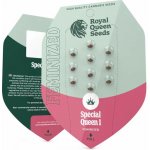 Royal Queen Seeds Special Queen #1 semena neobsahují THC 3 ks – Zboží Mobilmania