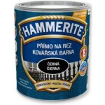 Akzo Nobel Hammerite přímo na rez kovářská barva 0,75L – HobbyKompas.cz
