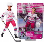 Barbie Zimní sporty Hokejistka – Zboží Mobilmania