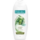 Šampon Palmolive Naturals Long & Shine šampon 350 ml