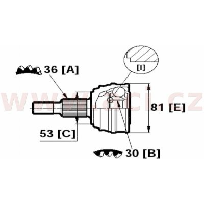 homokinetický kloub u kola průměr 53 mm, 36 vnějších drážek, 30 vnitřních drážek, vnější průměr 81 mm (ŠKODA, VW) – Hledejceny.cz