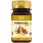 VitaHarmony Pyridoxin 20 mg 60 tablet – Hledejceny.cz
