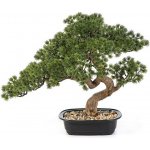 Umělá Bonsai borovice Mini v květináči, 44cm – Hledejceny.cz