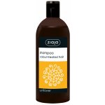 Ziaja Sunflower šampon s výtažkem ze slunečnice pro barvené vlasy 500 ml – Zboží Dáma