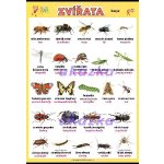 nakladatelství Kupka Zvířata - hmyz XL (100x70 cm) – Hledejceny.cz