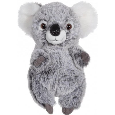 koala mládě 15 cm