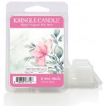 Kringle Candle Botanicals Vonný Vosk 64 g – Hledejceny.cz
