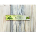 Garden Fresh indické vonné tyčinky Cool mint 15 g – Zboží Dáma