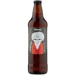 Primátor Tchyně India Pale Lager 4,7% 0,5 l (sklo) – Zboží Dáma