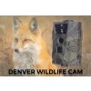 Denver WCT-5001