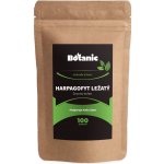 Botanic Harpagofyt ležatý bio 100 g – Hledejceny.cz