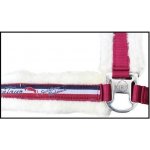 Kentaur Ohlávka podložená beránkem i lícnice + vodítko červená – Zboží Dáma