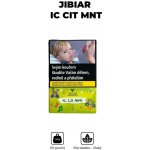Jibiar Ic Cit Mnt 50 g – Zboží Dáma