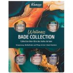 Kneipp Sada olejů do koupele 5 x 20 ml – Zboží Dáma