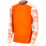 Nike Y Dry Park IV Jersey LS GK cj6072 819 – Hledejceny.cz