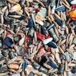 Apetit Zakrslý Králík 25 kg – Zboží Dáma