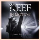 Reef - In Motion CD