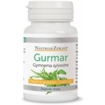 Nástroje Zdraví Gurmar-gymnema Sylvestre 60 kapslí – Hledejceny.cz