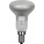 Techlamp Tes-lamp R50 230V 40W E14 clear termorezistivní – Hledejceny.cz