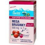 Swiss NatureVia Mega brusinky Akut 15 kapslí – Hledejceny.cz