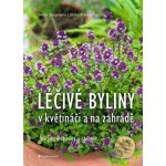 Léčivé byliny v květináči a na zahradě – Hledejceny.cz